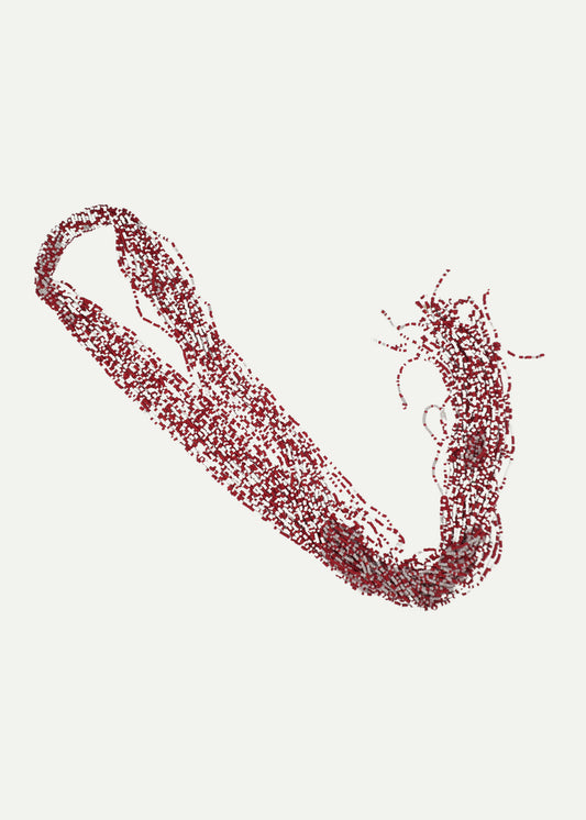 Beaded Scarf Red and White